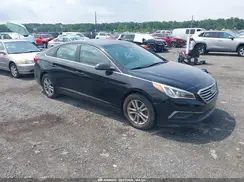 5NPE24AF1GH314375 2016 HYUNDAI SONATA