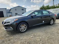 5NPE24AF1GH314876 2016 HYUNDAI SONATA