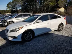 5NPE24AF1GH316112 2016 HYUNDAI SONATA