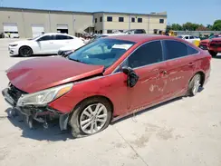 5NPE24AF1GH318684 2016 HYUNDAI SONATA