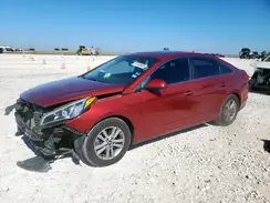 5NPE24AF1GH333444 2016 HYUNDAI SONATA