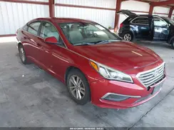 5NPE24AF1GH334173 2016 HYUNDAI SONATA