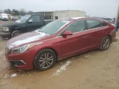 5NPE24AF1GH336618 2016 HYUNDAI SONATA