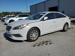 5NPE24AF1GH338160 2016 HYUNDAI SONATA