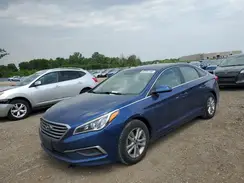 5NPE24AF1GH338658 2016 HYUNDAI SONATA
