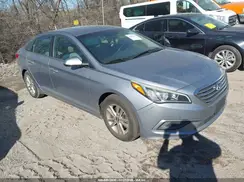 5NPE24AF1GH339664 2016 HYUNDAI SONATA