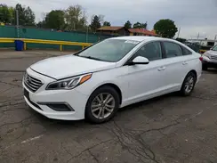 5NPE24AF1GH341446 2016 HYUNDAI SONATA