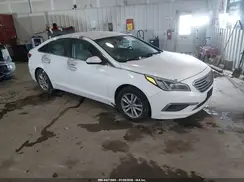 5NPE24AF1GH344136 2016 HYUNDAI SONATA