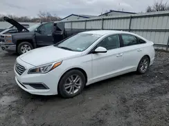 5NPE24AF1GH346324 2016 HYUNDAI SONATA