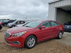 5NPE24AF1GH348235 2016 HYUNDAI SONATA