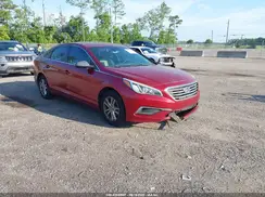 5NPE24AF1GH349434 2016 HYUNDAI SONATA