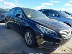 5NPE24AF1GH350356 2016 HYUNDAI SONATA