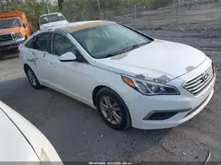 5NPE24AF1GH350518 2016 HYUNDAI SONATA