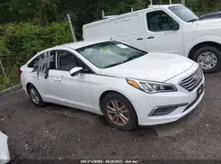 5NPE24AF1GH352401 2016 HYUNDAI SONATA