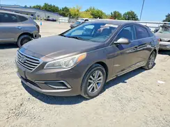 5NPE24AF1GH360529 2016 HYUNDAI SONATA