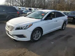 5NPE24AF1GH364595 2016 HYUNDAI SONATA