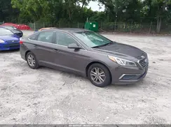 5NPE24AF1GH366024 2016 HYUNDAI SONATA