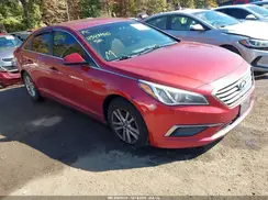 5NPE24AF1GH371952 2016 HYUNDAI SONATA