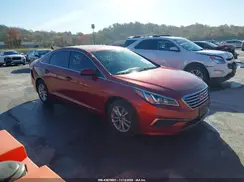 5NPE24AF1GH374141 2016 HYUNDAI SONATA