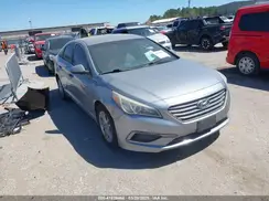 5NPE24AF1GH377377 2016 HYUNDAI SONATA