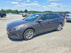 5NPE24AF1GH380697 2016 HYUNDAI SONATA