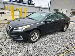 5NPE24AF1GH395409 2016 HYUNDAI SONATA