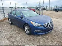 5NPE24AF1GH395491 2016 HYUNDAI SONATA