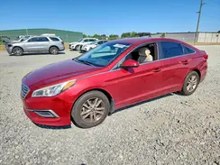 5NPE24AF1GH396429 2016 HYUNDAI SONATA