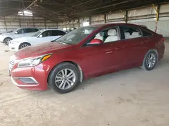 5NPE24AF1GH396432 2016 HYUNDAI SONATA