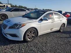 5NPE24AF1GH399265 2016 HYUNDAI SONATA