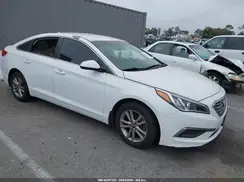 5NPE24AF1GH401726 2016 HYUNDAI SONATA