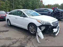 5NPE24AF1GH405159 2016 HYUNDAI SONATA