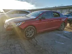 5NPE24AF1GH406635 2016 HYUNDAI SONATA
