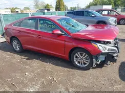 5NPE24AF1GH407638 2016 HYUNDAI SONATA