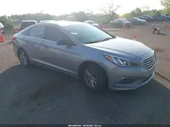 5NPE24AF1GH407929 2016 HYUNDAI SONATA