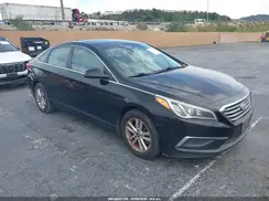 5NPE24AF1GH416792 2016 HYUNDAI SONATA