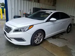 5NPE24AF1GH422589 2016 HYUNDAI SONATA
