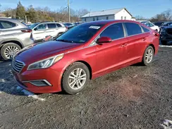 5NPE24AF1GH428473 2016 HYUNDAI SONATA