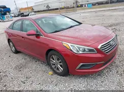 5NPE24AF1GH429848 2016 HYUNDAI SONATA