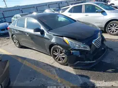 5NPE24AF1GH434886 2016 HYUNDAI SONATA