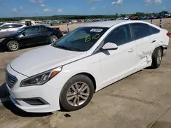 5NPE24AF1HH436719 2017 HYUNDAI SONATA