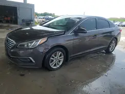 5NPE24AF1HH437062 2017 HYUNDAI SONATA
