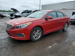 5NPE24AF1HH444447 2017 HYUNDAI SONATA