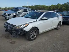 5NPE24AF1HH444643 2017 HYUNDAI SONATA