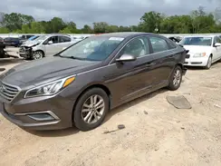 5NPE24AF1HH446800 2017 HYUNDAI SONATA