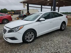 5NPE24AF1HH449065 2017 HYUNDAI SONATA