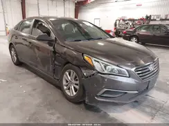 5NPE24AF1HH452600 2017 HYUNDAI SONATA