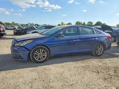 5NPE24AF1HH462589 2017 HYUNDAI SONATA