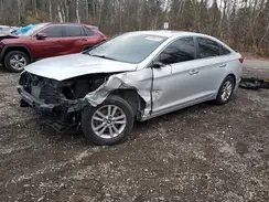 5NPE24AF1HH463225 2017 HYUNDAI SONATA
