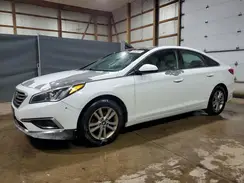 5NPE24AF1HH465041 2017 HYUNDAI SONATA